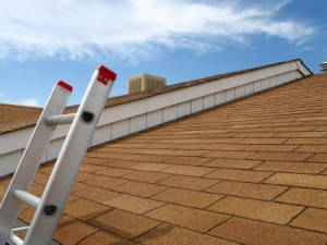 roofing_inspect