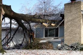 Natural Disasters and Real Estate Prices