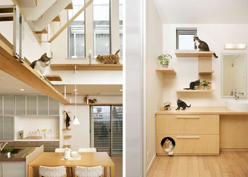 Pet Freindly Homes